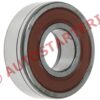 GG9252 - SKF